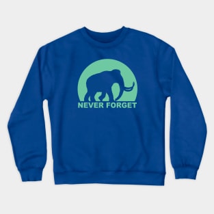 NEVER FORGET Crewneck Sweatshirt